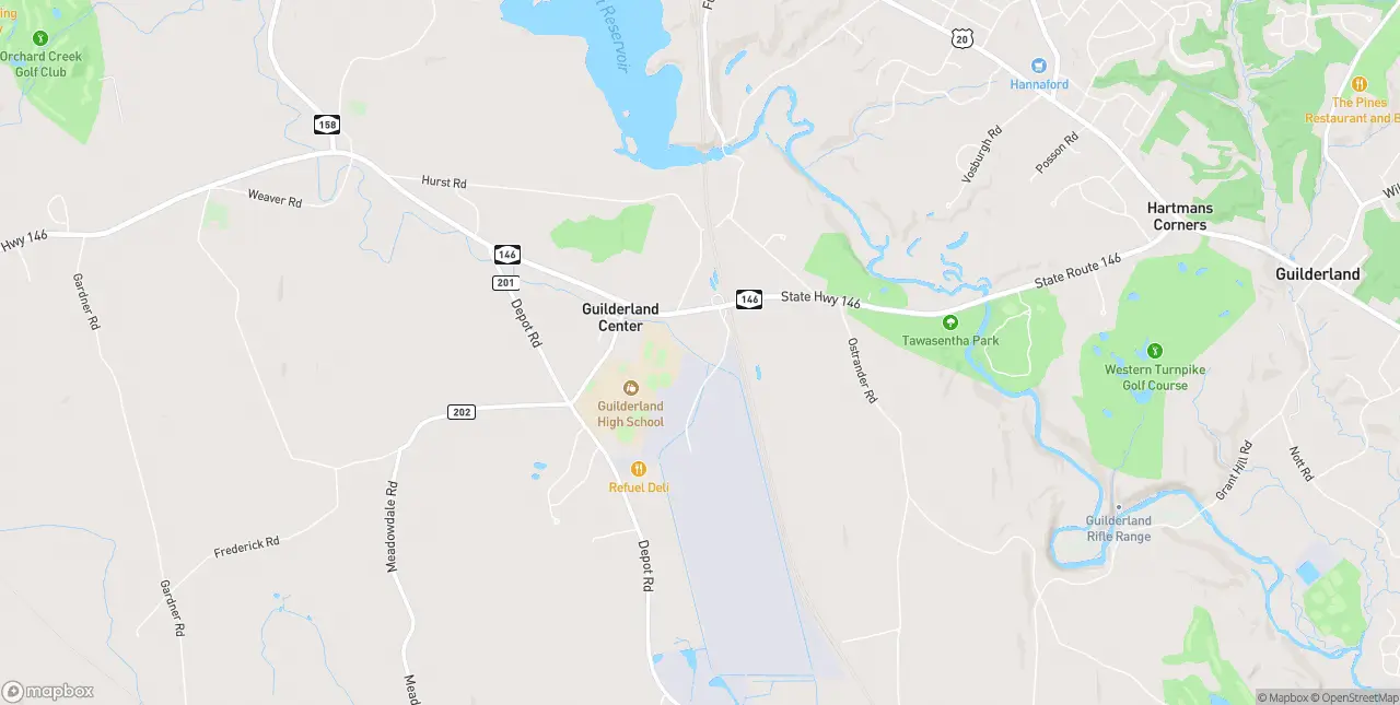 Internet in Guilderland Center