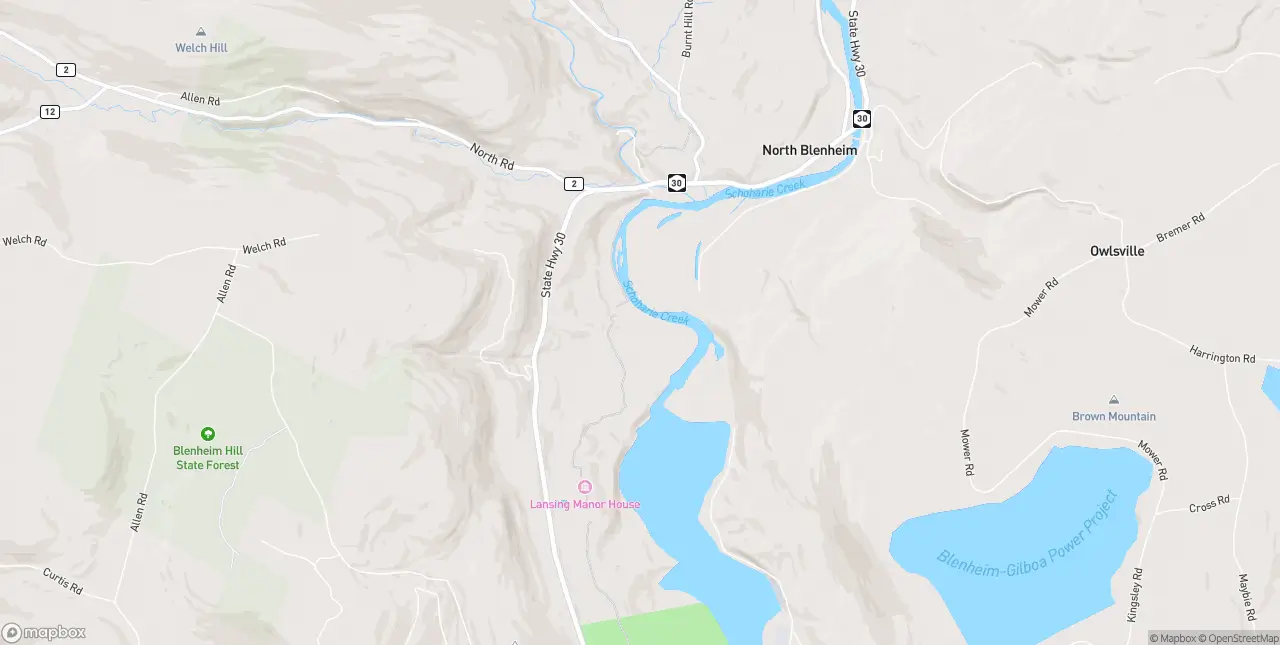 Internet in North Blenheim