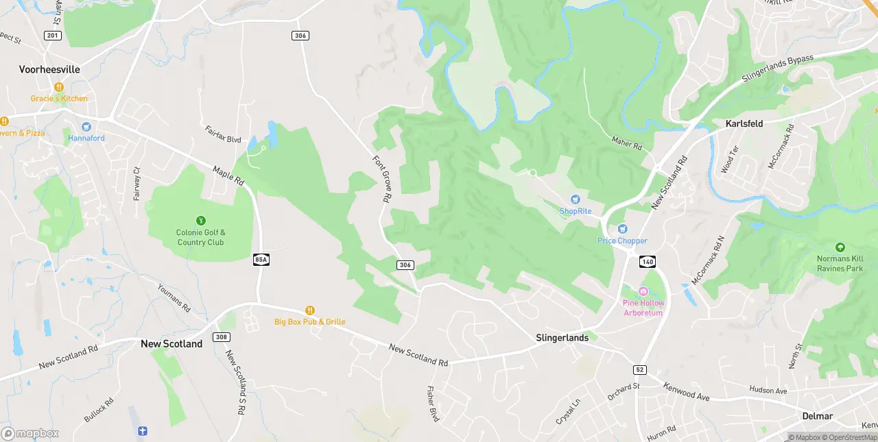 Internet in Slingerlands