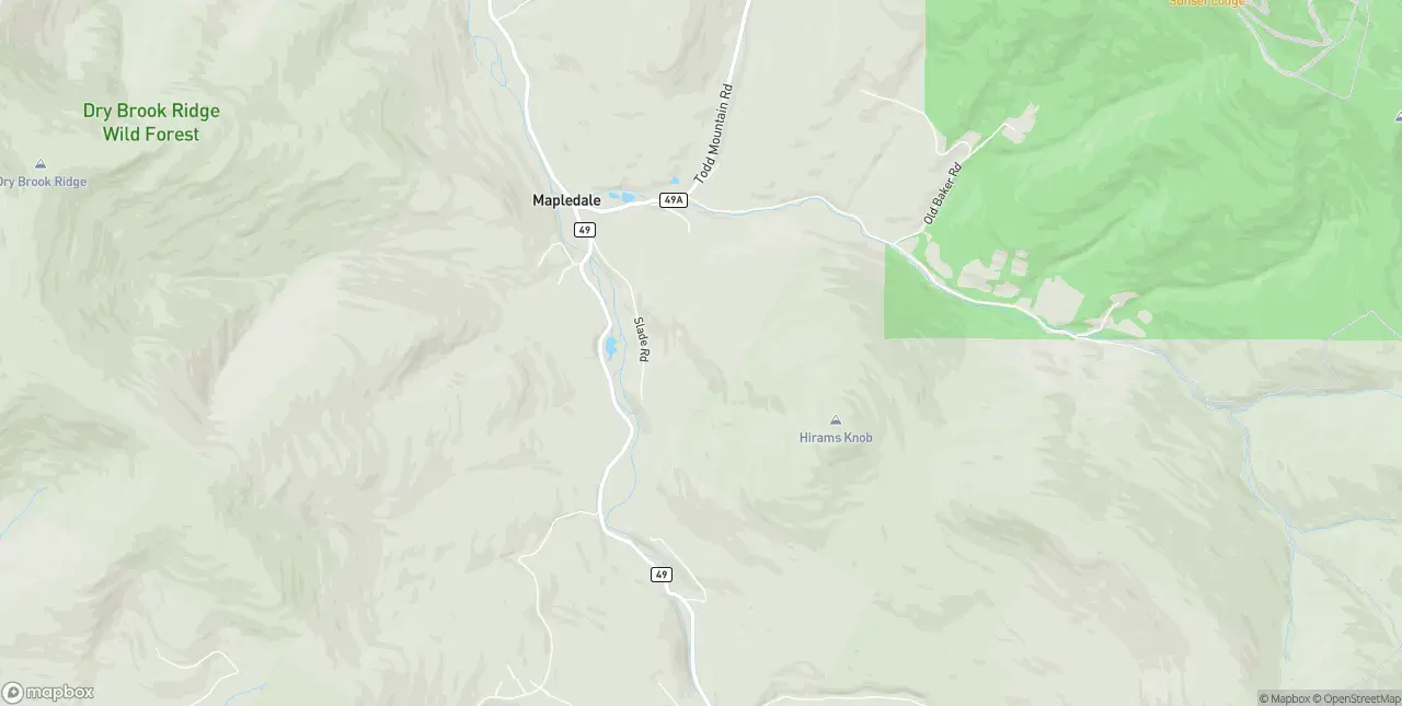 Internet in Arkville