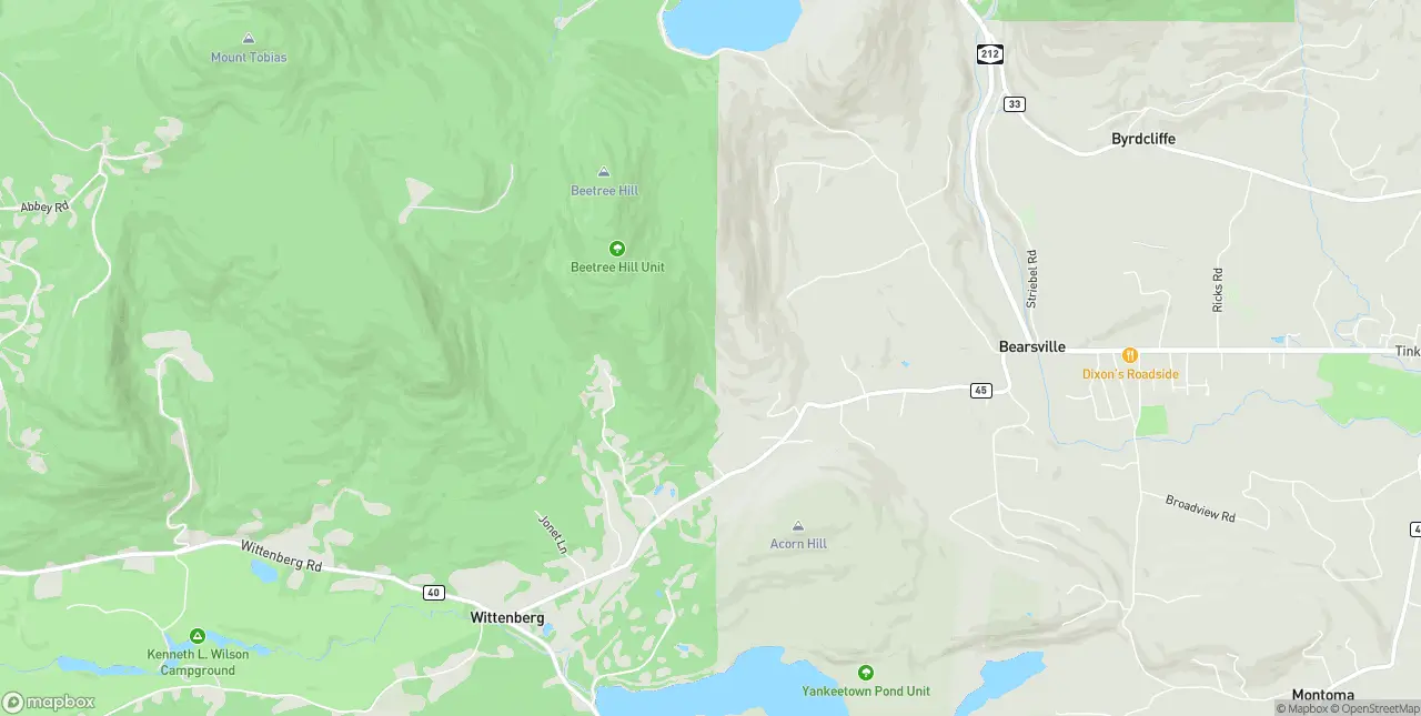 Internet in Bearsville