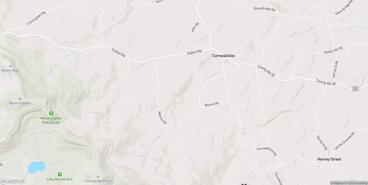 Internet in Cornwallville