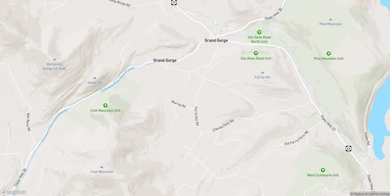 Internet in Grand Gorge