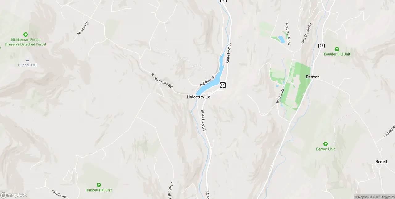 Internet in Halcottsville