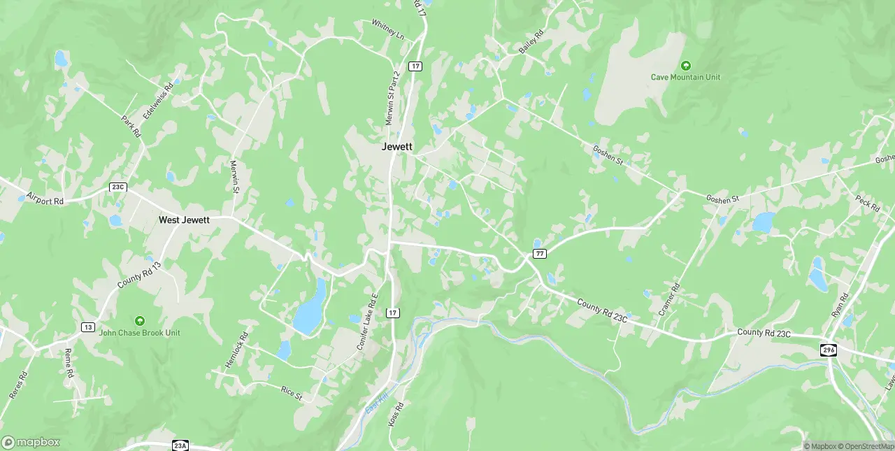 Internet in Jewett