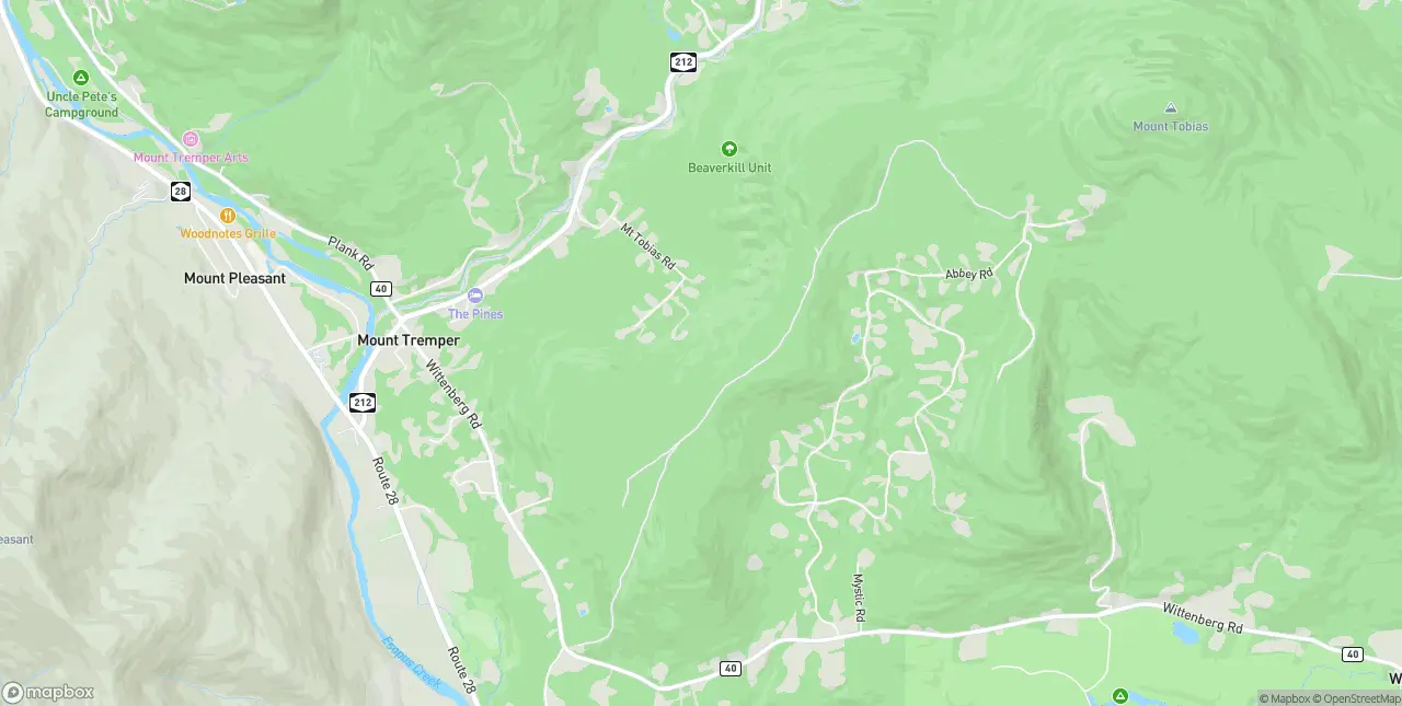 Internet in Mount Tremper