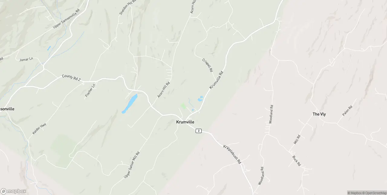 Internet in Olivebridge