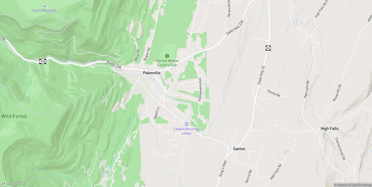 Internet in Palenville