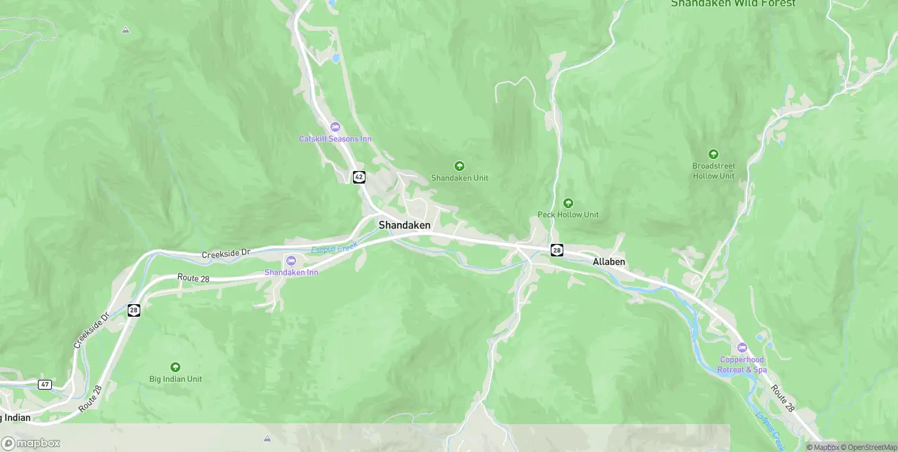 Internet in Shandaken