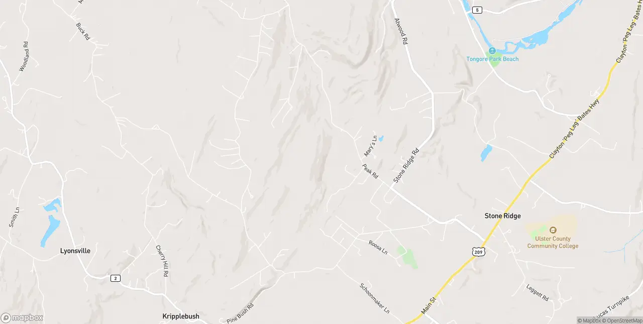 Internet in Stone Ridge