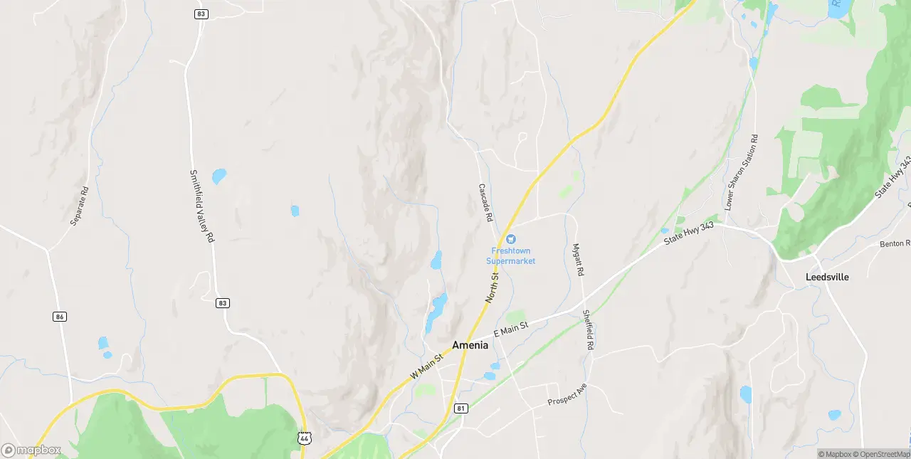 Internet in Amenia