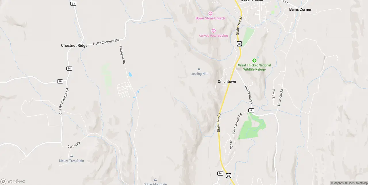 Internet in Dover Plains