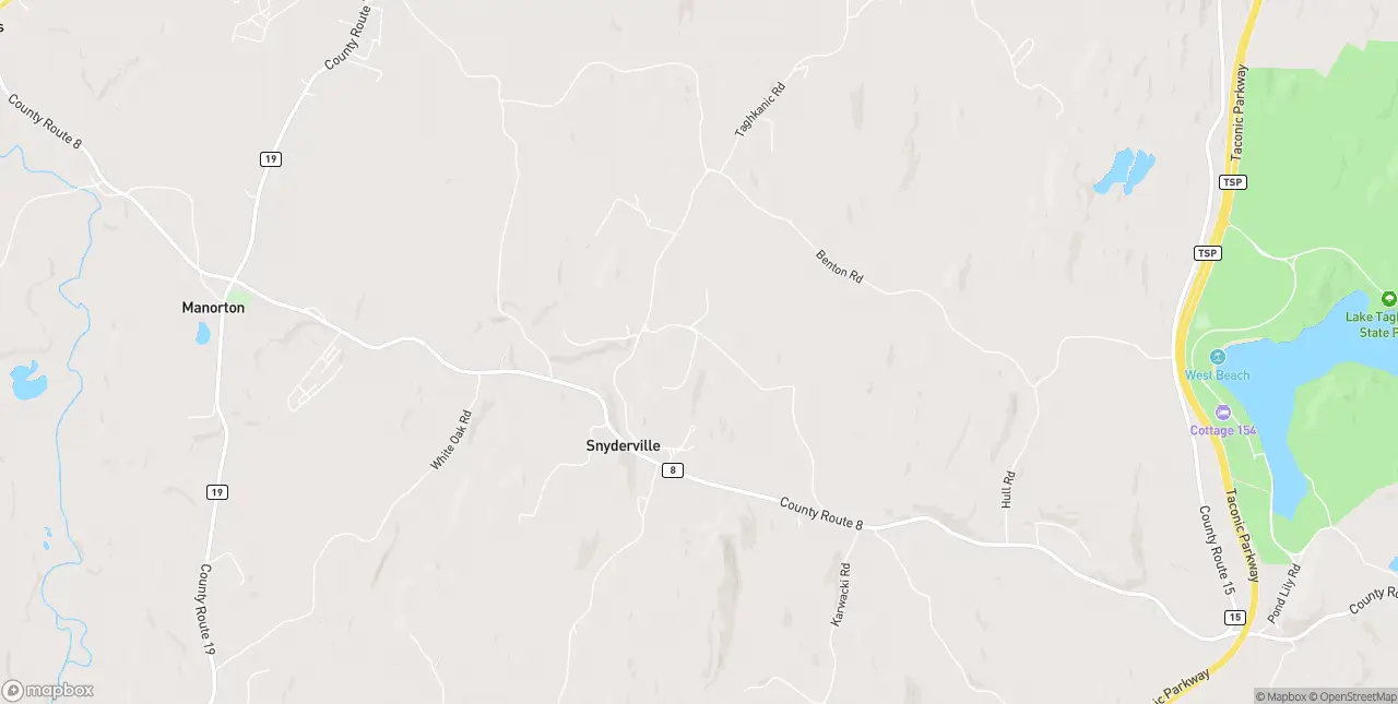 Internet in Elizaville