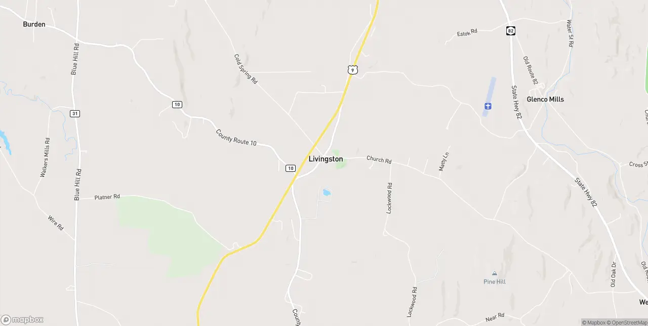 Internet in Livingston