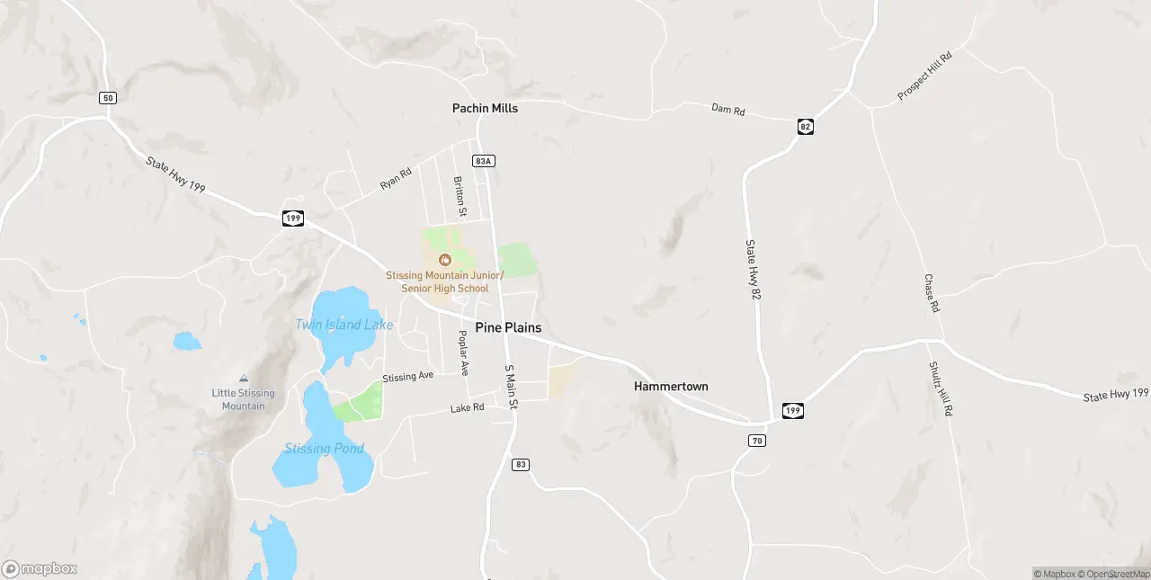 Internet in Pine Plains
