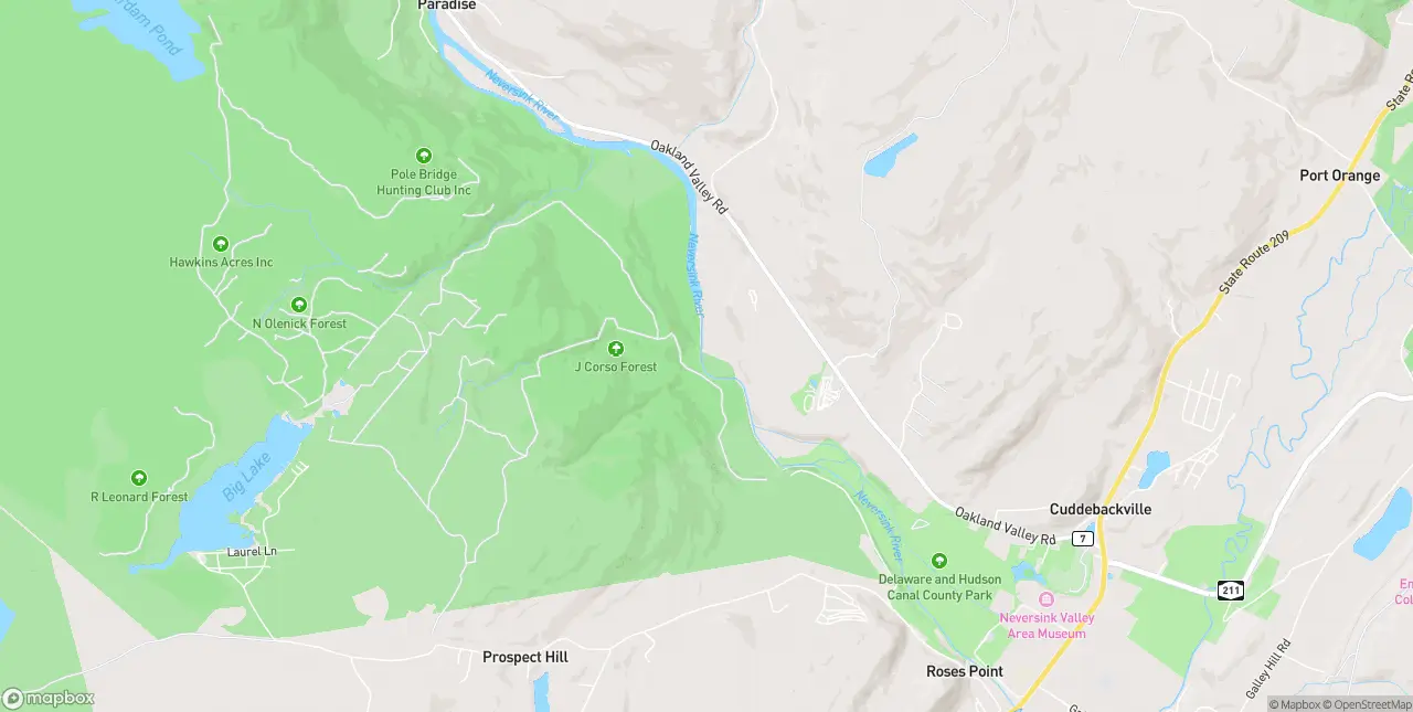 Internet in Cuddebackville