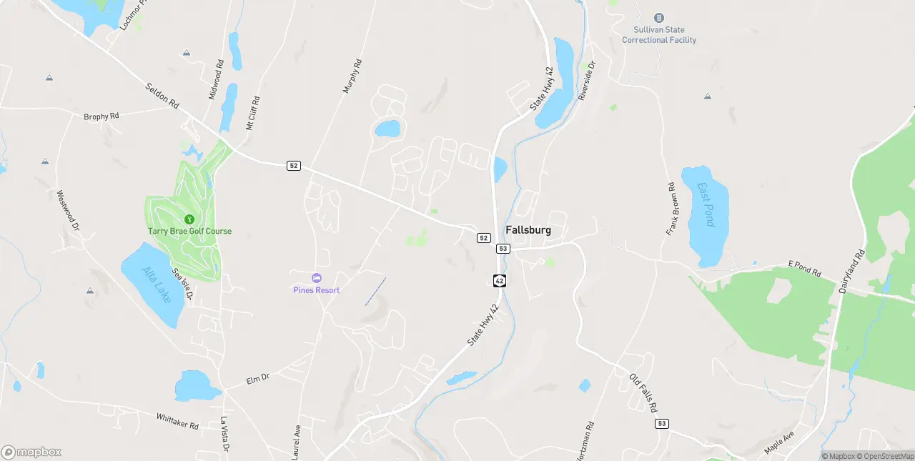 Internet in Fallsburg