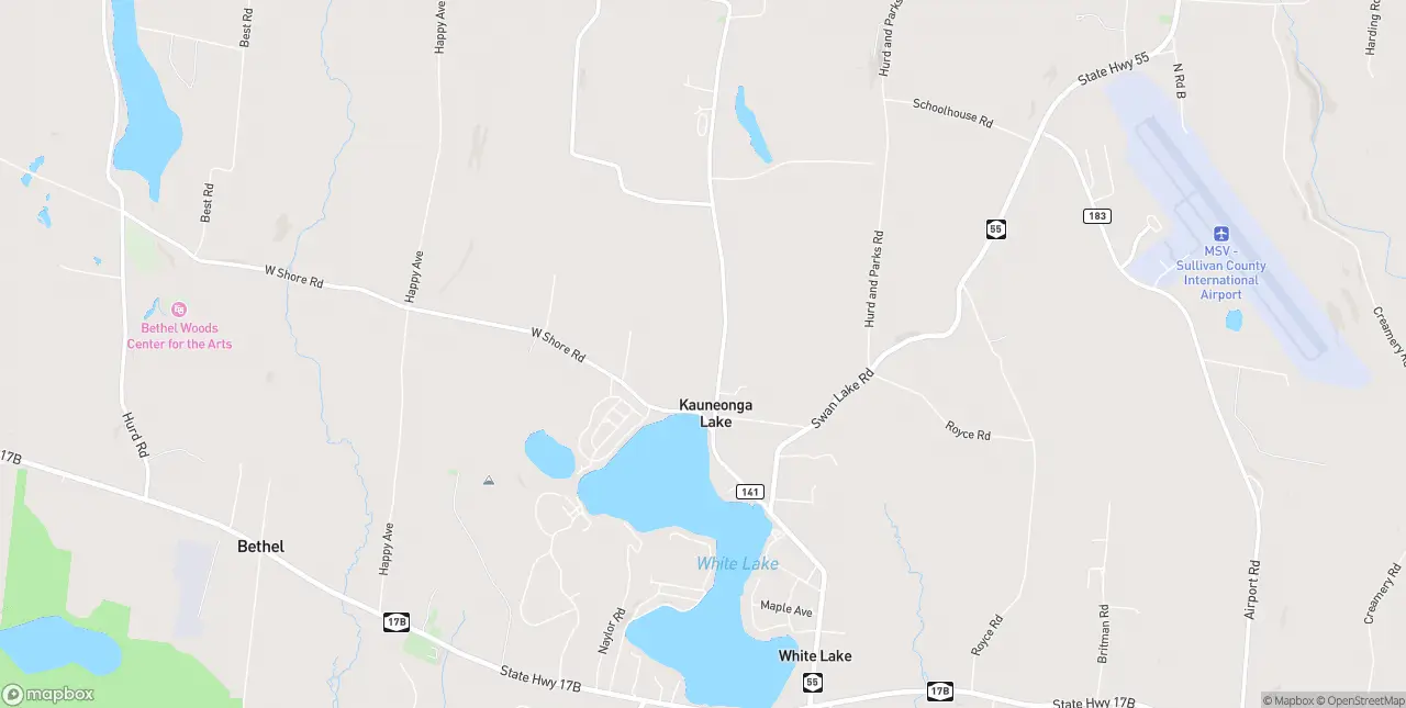 Internet in Kauneonga Lake