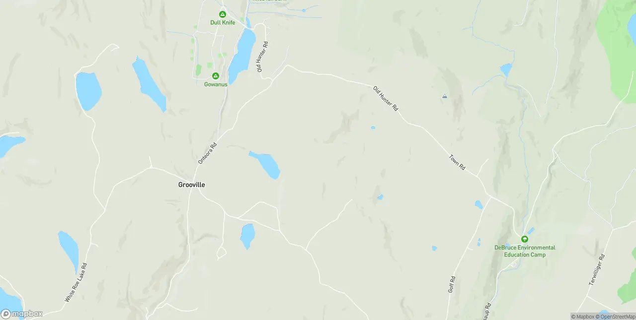 Internet in Livingston Manor