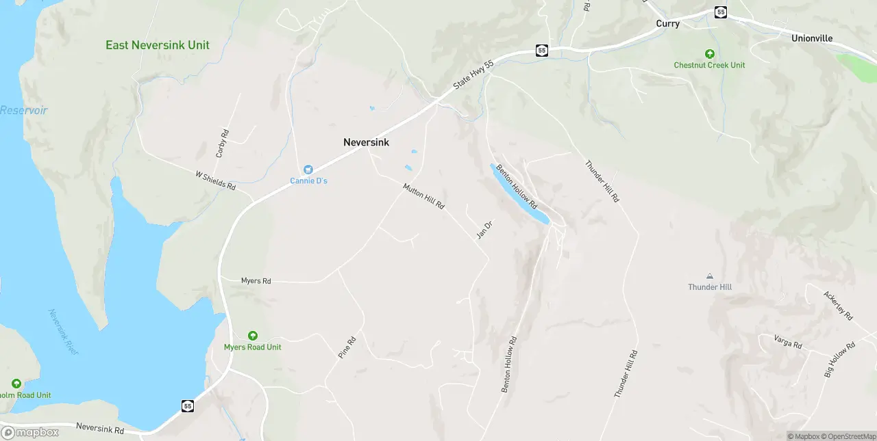 Internet in Neversink