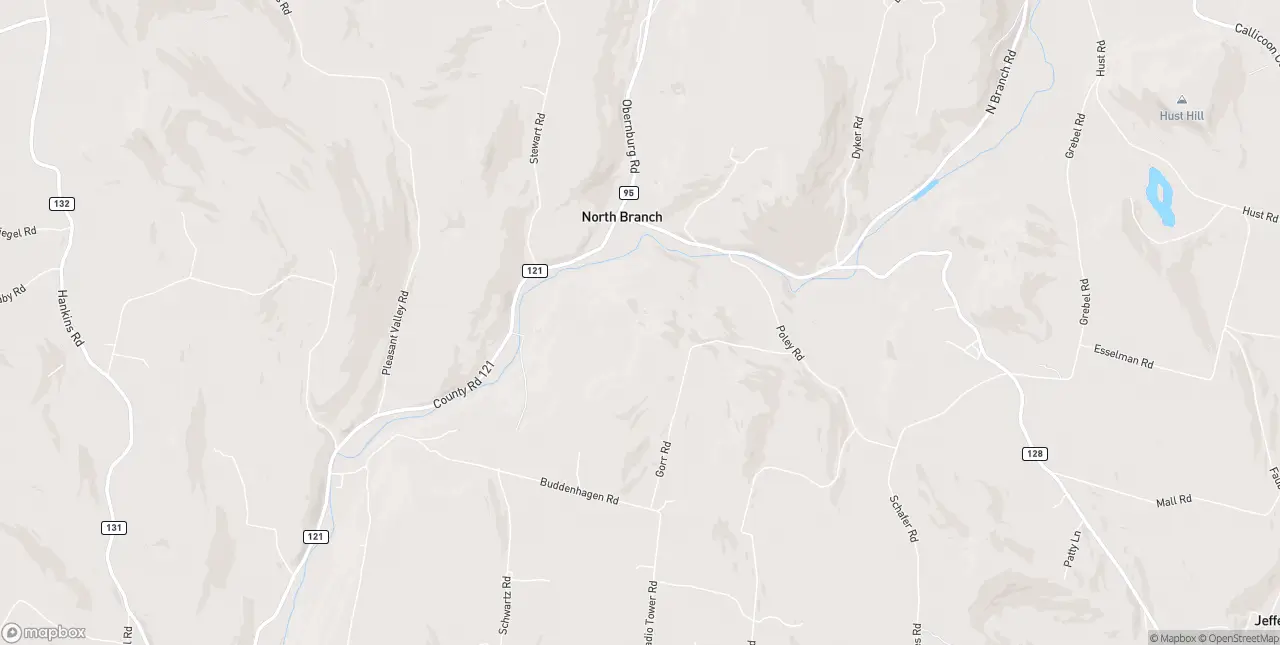 Internet in North Branch