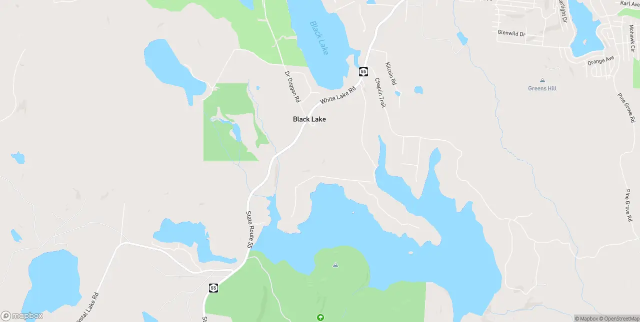 Internet in White Lake