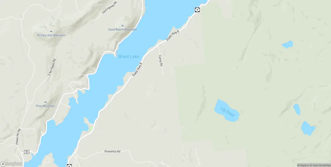 Internet in Brant Lake