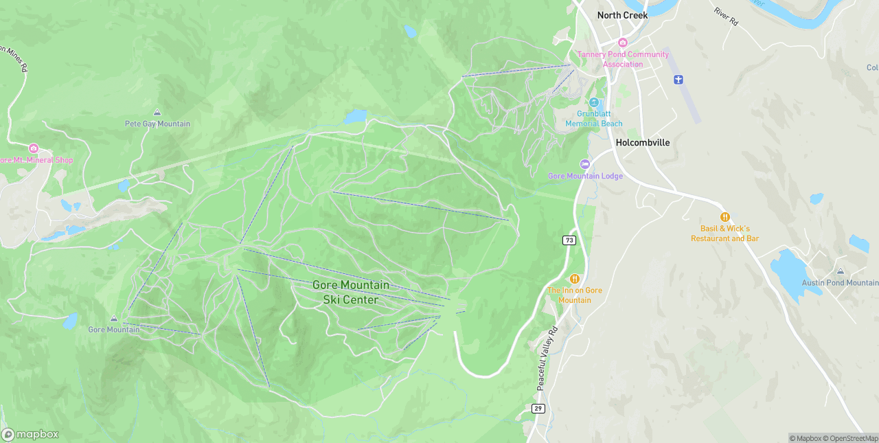 Internet in North Creek - 12853