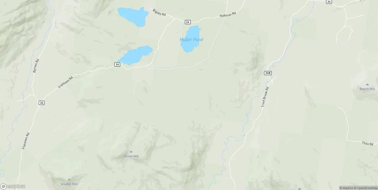 Internet in Olmstedville