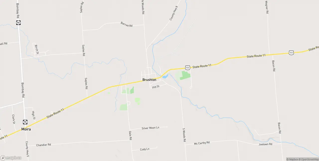 Internet in Brushton