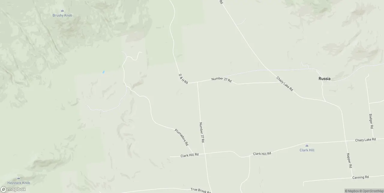 Internet in Saranac