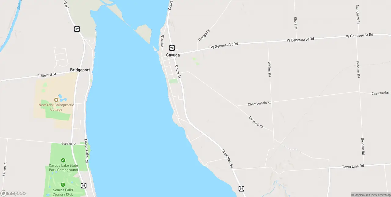 Internet in Cayuga