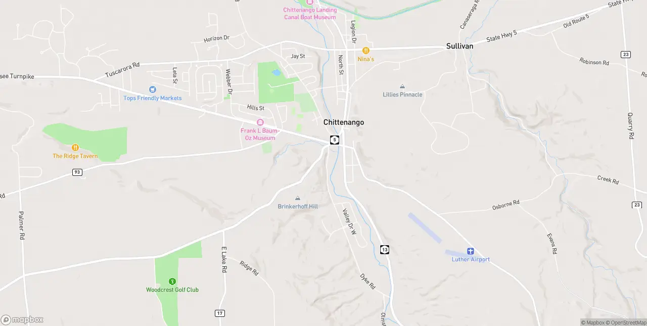 Internet in Chittenango