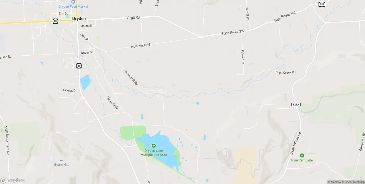 Internet in Dryden