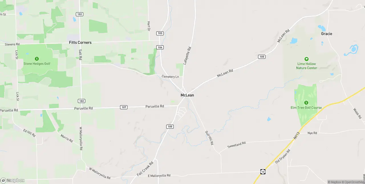 Internet in Mclean