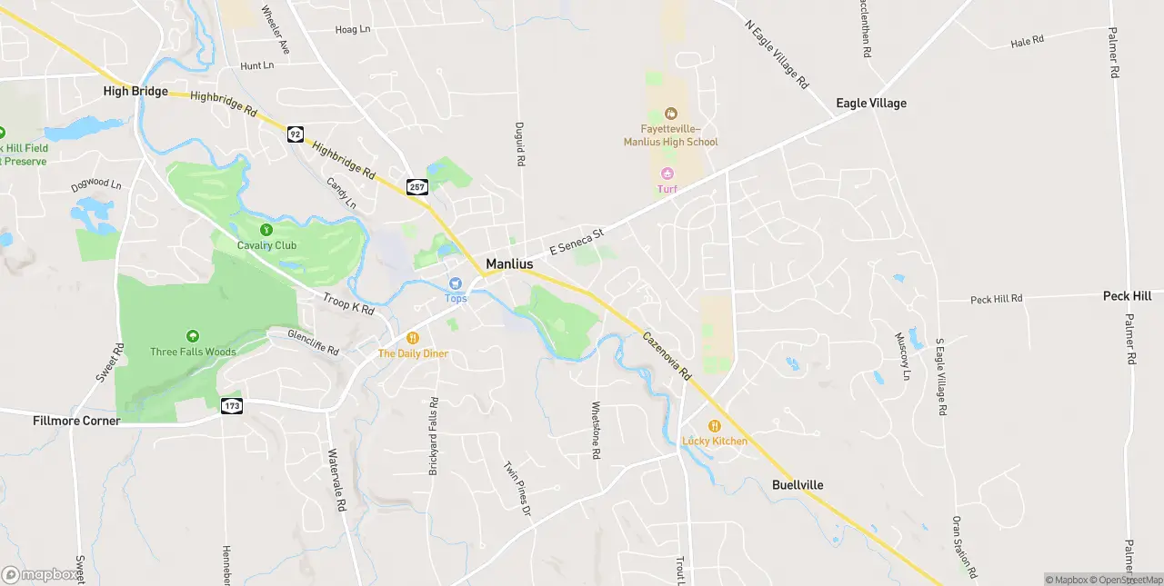 Internet in Manlius