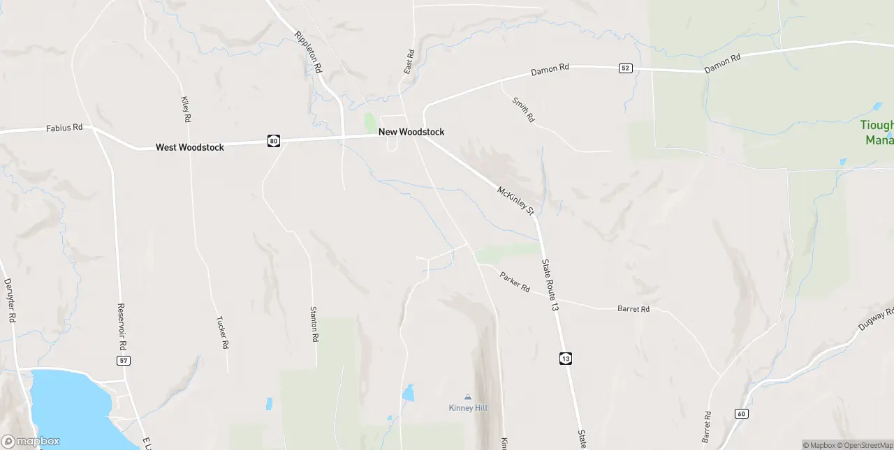 Internet in New Woodstock