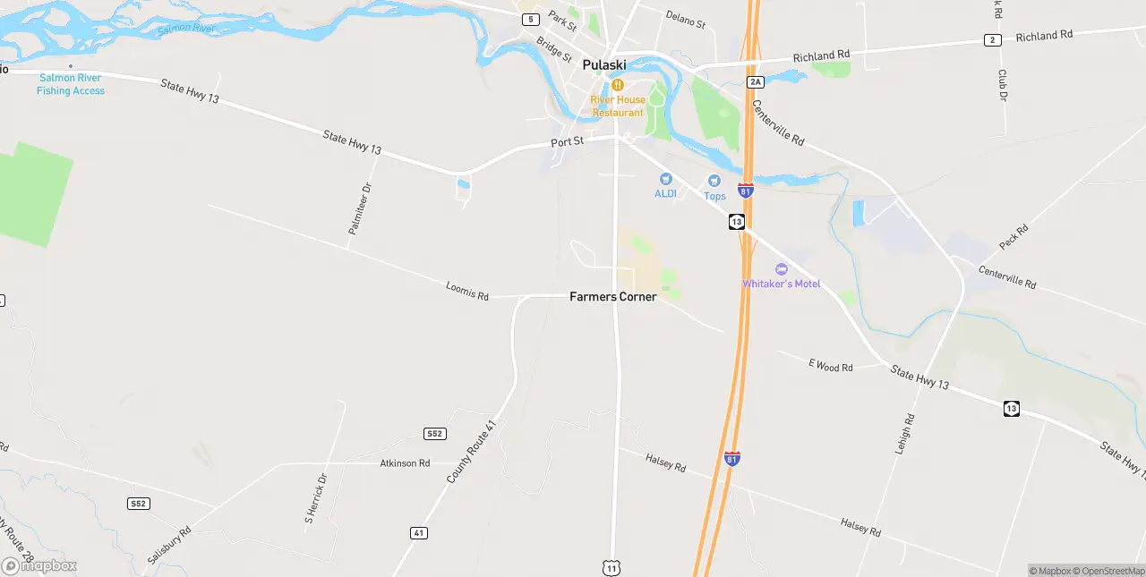 Internet in Pulaski