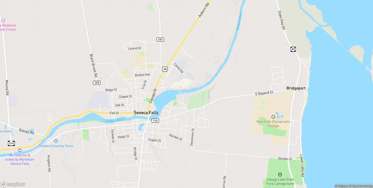 Internet in Seneca Falls