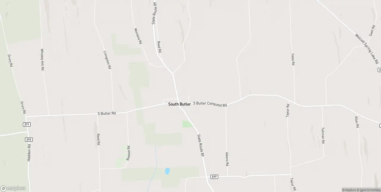 Internet in South Butler