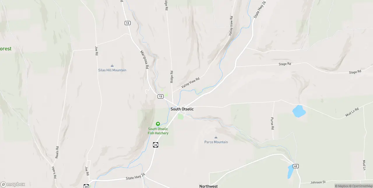 Internet in South Otselic