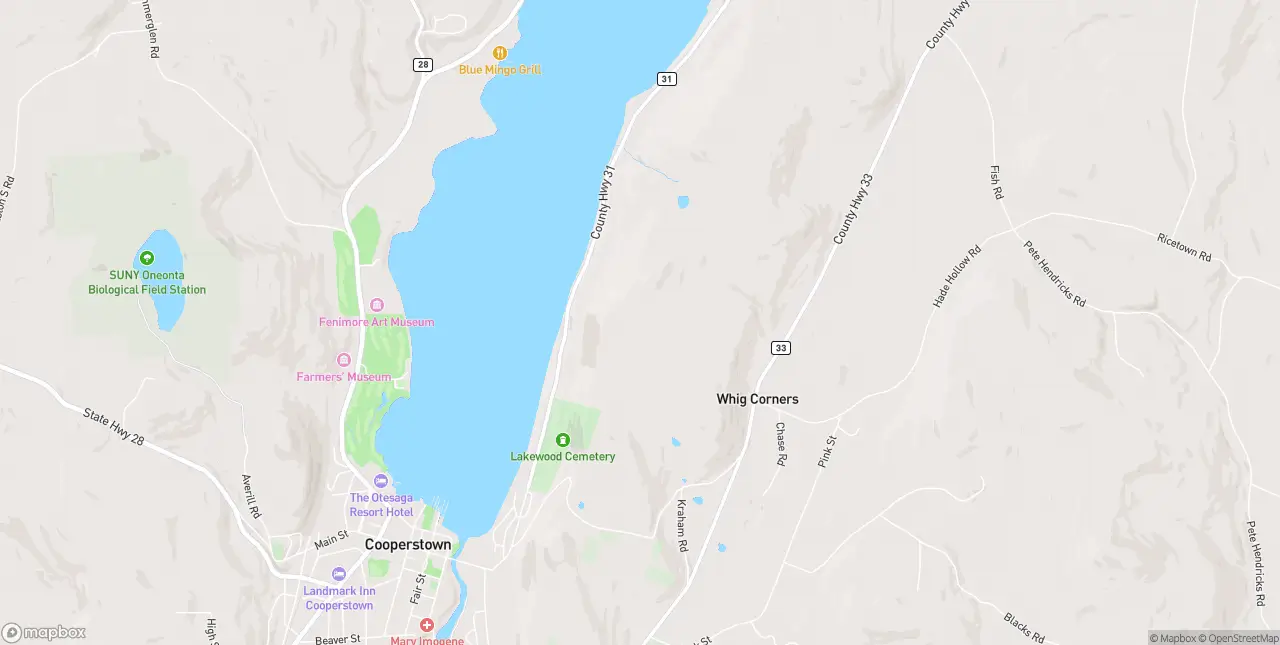 Internet in Cooperstown