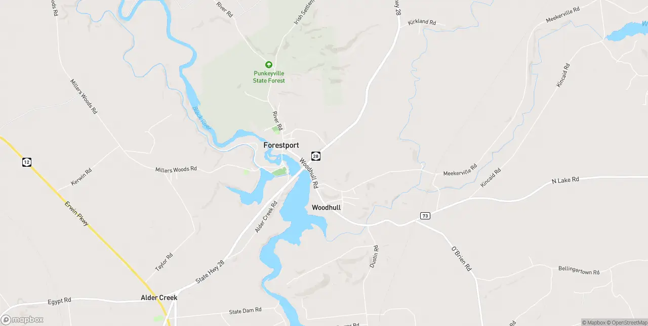 Internet in Forestport