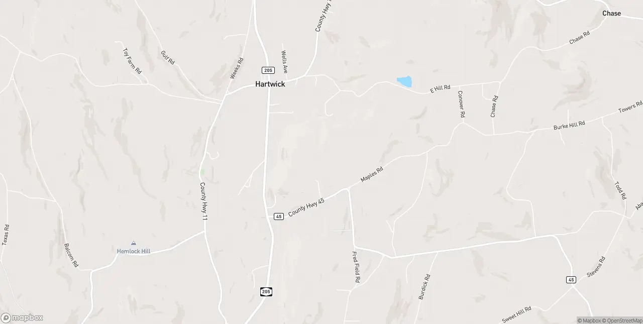 Internet in Hartwick