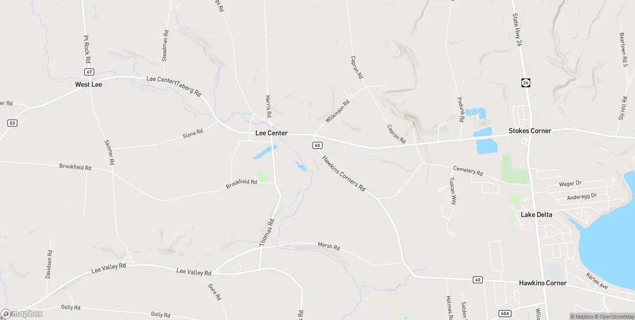 Internet in Lee Center