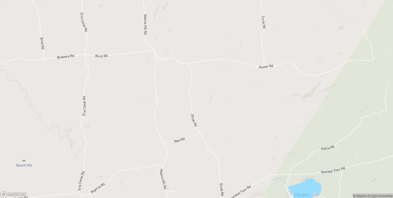 Internet in Lowville