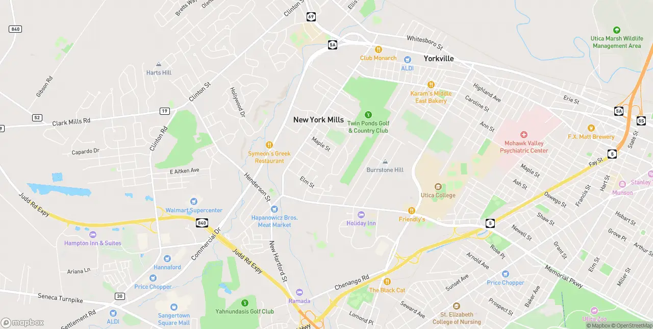 Internet in New York Mills