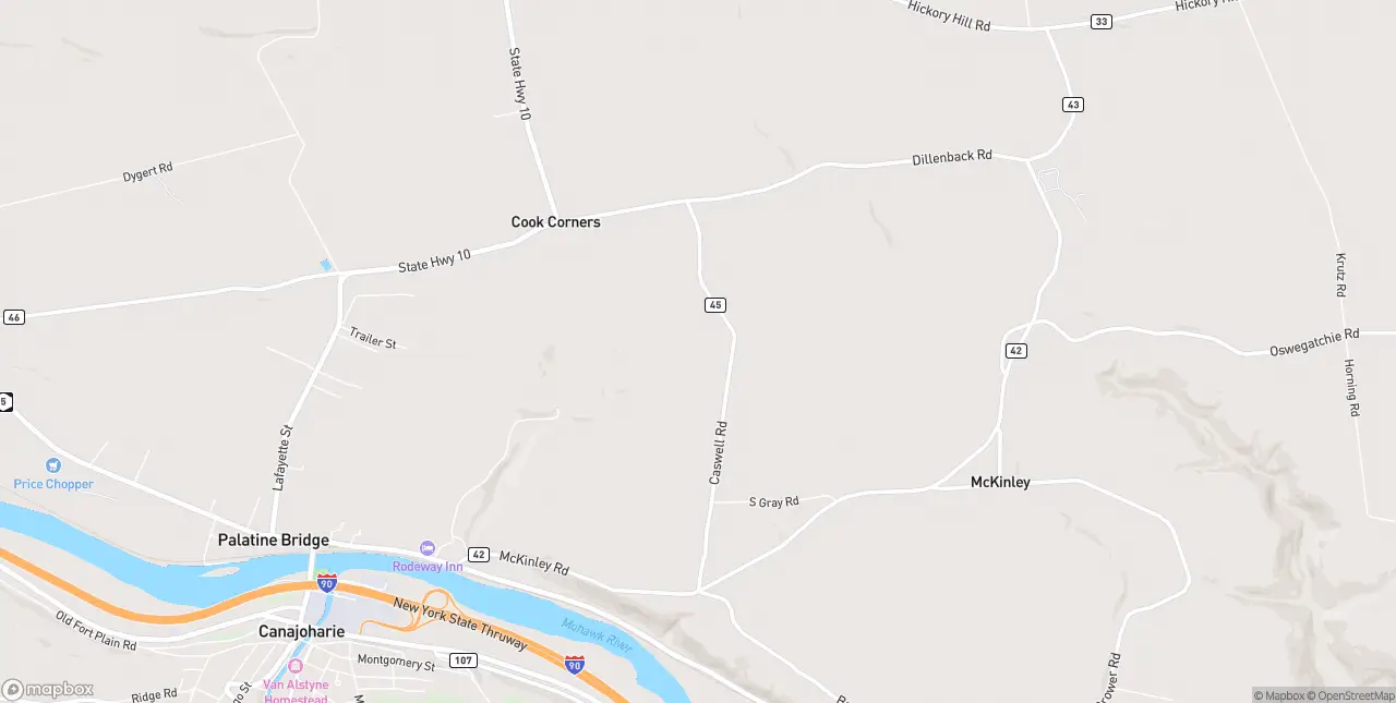 Internet in Palatine Bridge