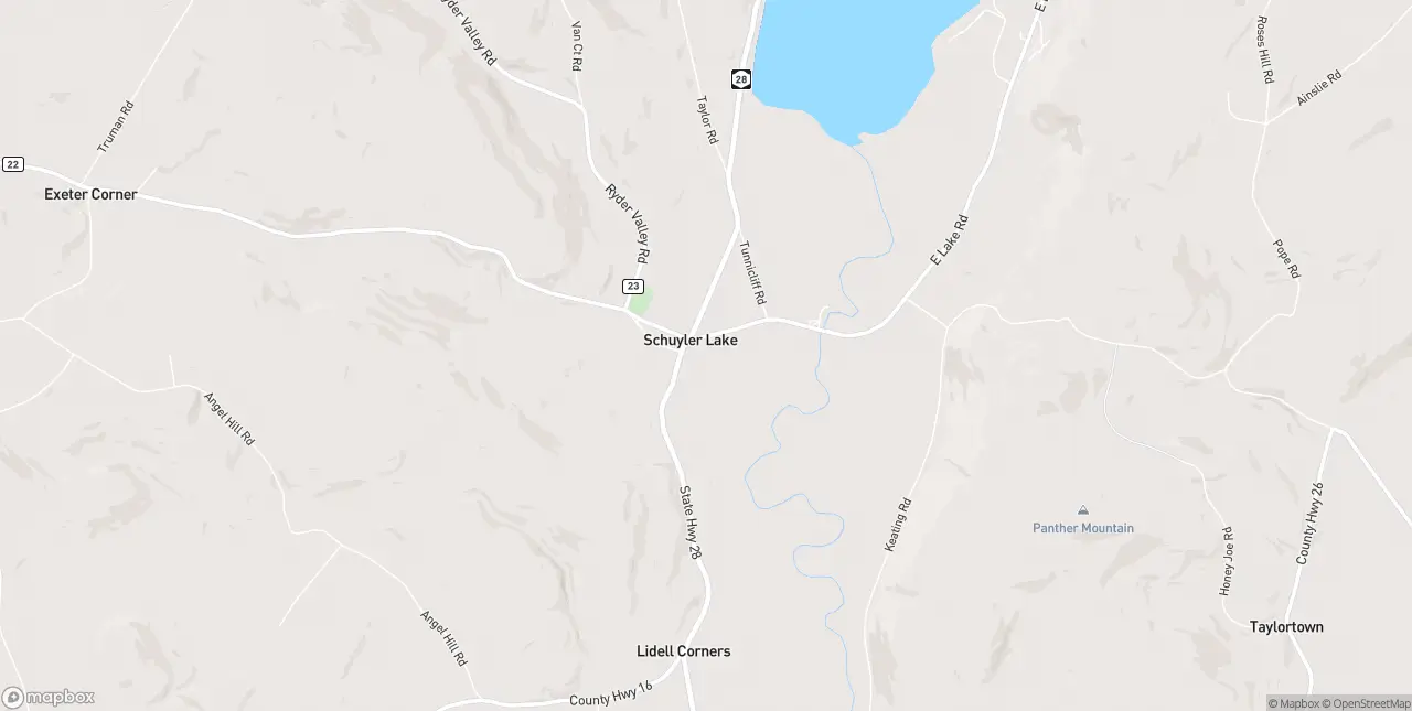 Internet in Schuyler Lake