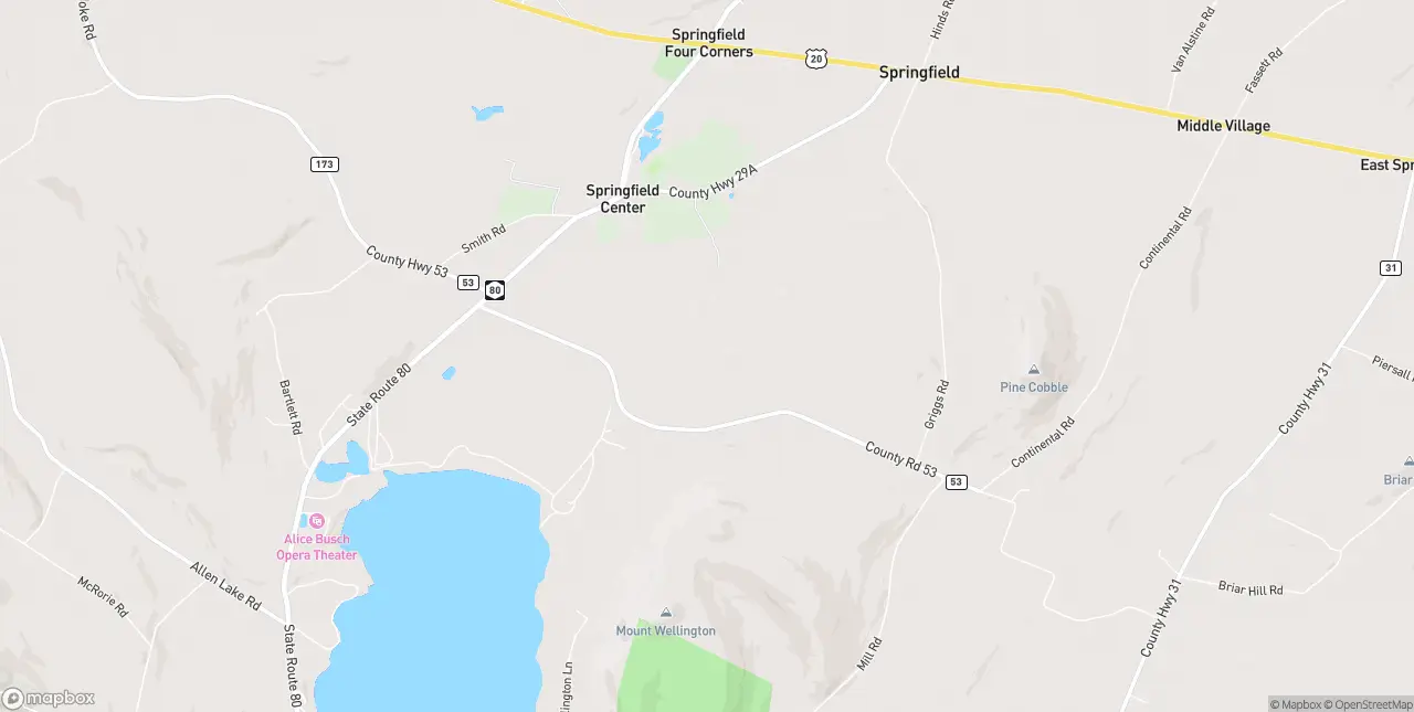 Internet in Springfield Center